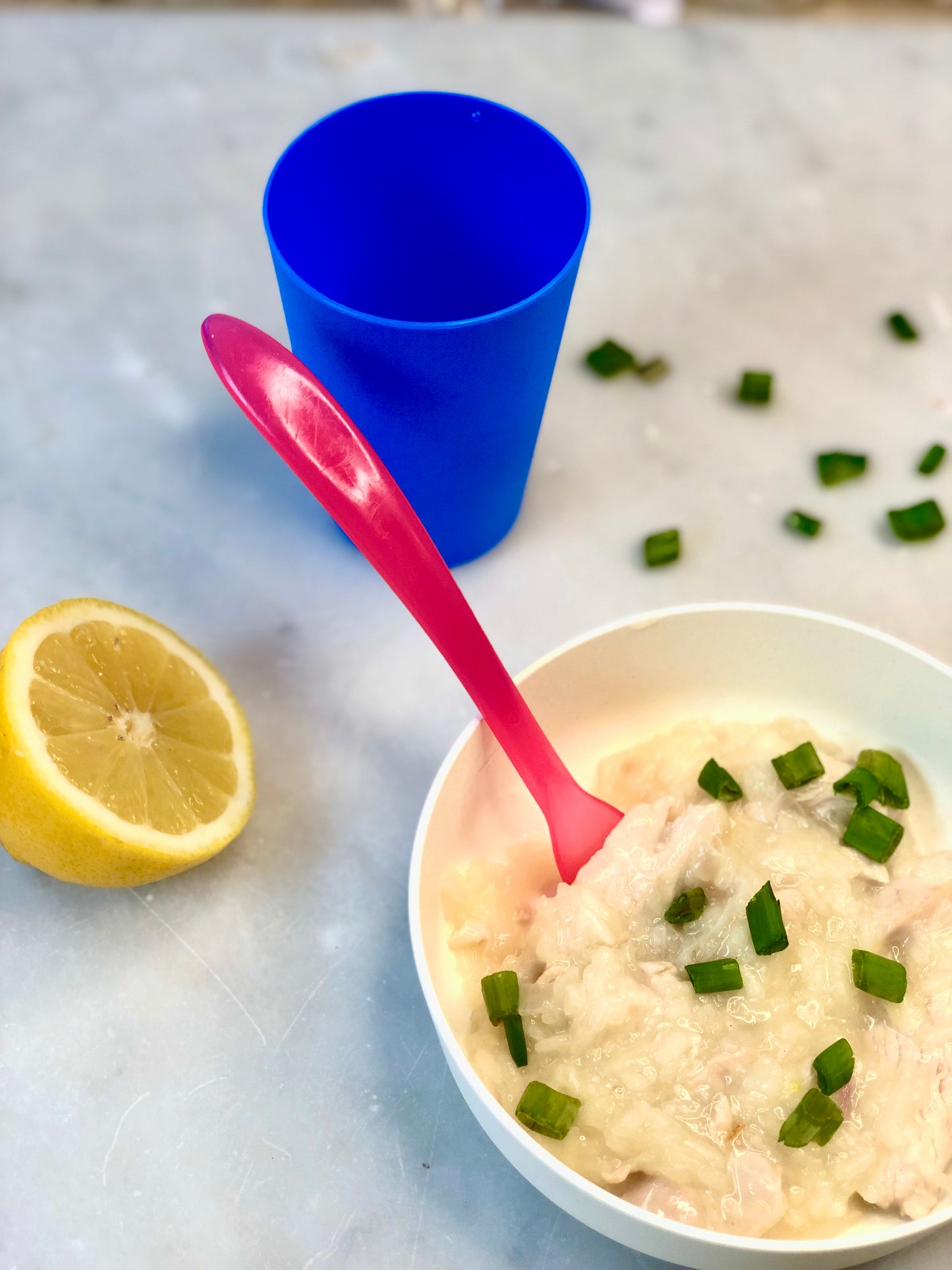 Chicken Arroz Caldo